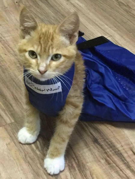 Sweet! Love my new outfit