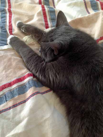 Hanging out with Mom L 