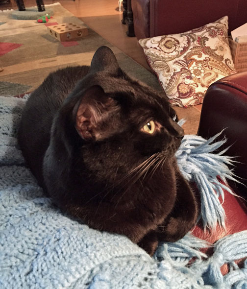 Oh! Did you hear that?