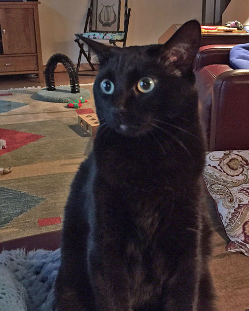 Mom L you know I really like your lap, but...