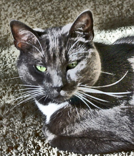 I am your and you are mine—yes, I will share you with TKS