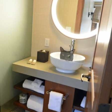 Why yes! This is just my size!