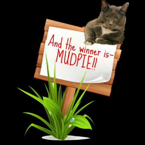 savvy-announces-winner