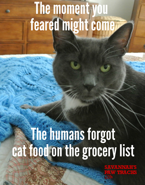 savvy-grocery-list-no-food-sized