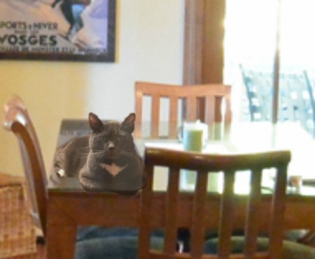 Yes, I believe this is just fine. You may now dine