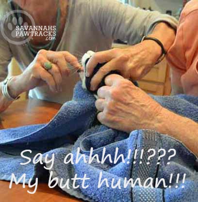 You're kidding, right?