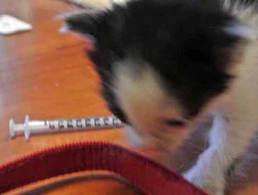 Oh, there it goes again? Or was that a milk can being opened?