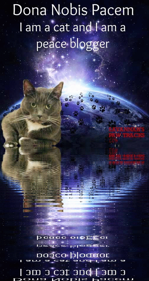 Follow my paw tracks to bring peace to the world we share