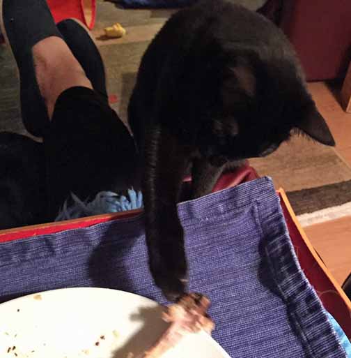 Come to me my little chik-hen drumstik