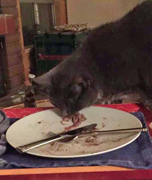 I am taking you to the floor my yummy morsel