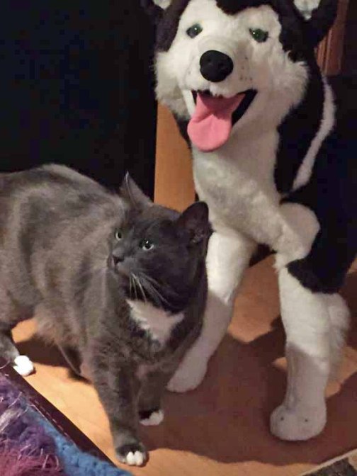 Are done? Can I get on the couch now?