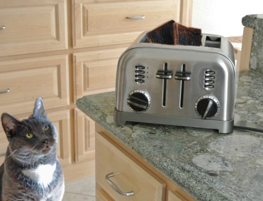 savvy-preps-btm-sized-final-story