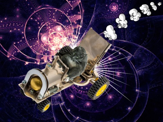 Savvy's Stellar Ride