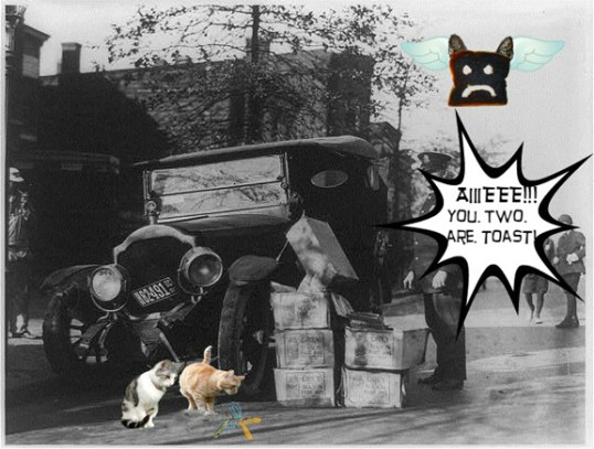 NEVER. USE. TURBO.WARP.COATED.WHISKS.WHEN.NIP.IS.PPRESENT.!!! PERIOD!!!