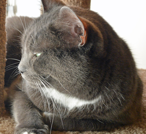 I can't bear this anymore