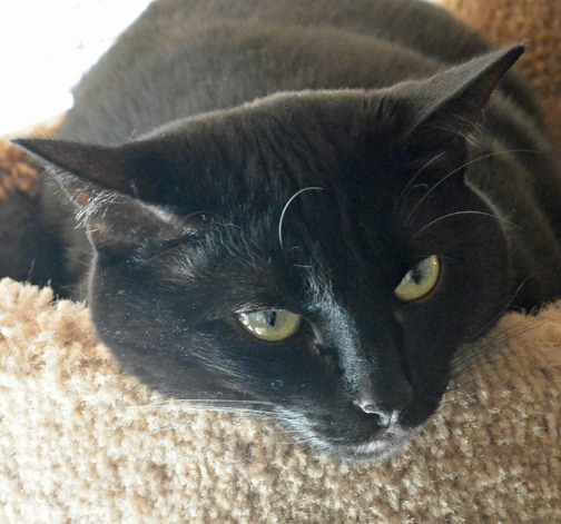 You have to be kidding me Mom!