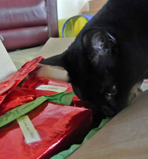 *snuffle* Oh yes, this is totally purrfect