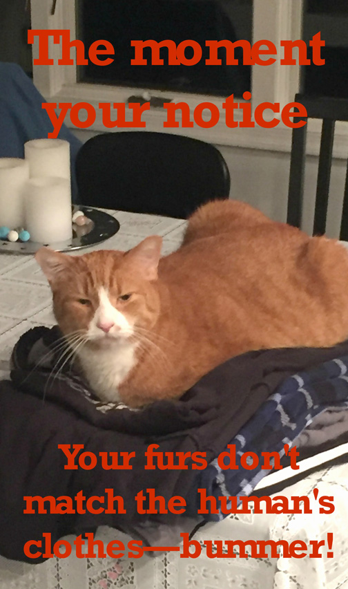 furs-dont-match-ed-s