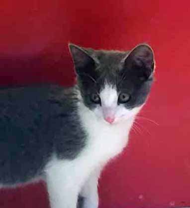 Mom Linda, where do you want me to look?