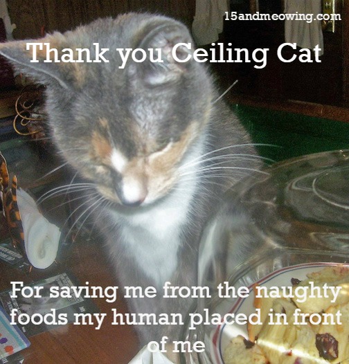 Joanie withstands temptation