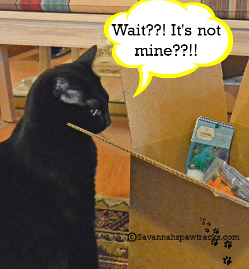 You're kidding! Right?