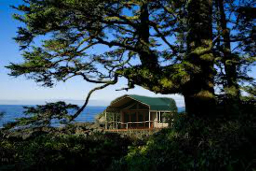 savannahs-camp-site-s