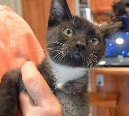 Can I get some help over here please