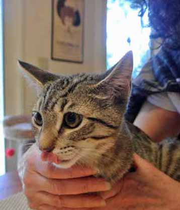 ppffttt!!! on all of you!