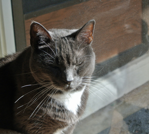 I am so chill'axed...anybody wanna come and join me?