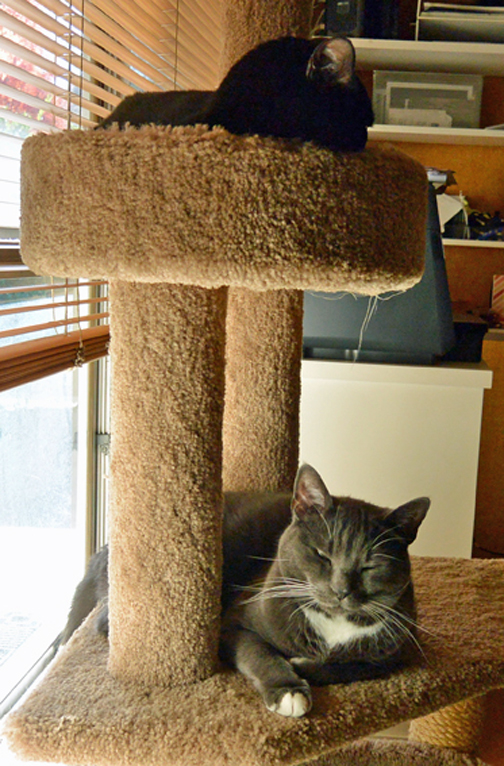 I didn't know TKS was up there. MOUSES!!