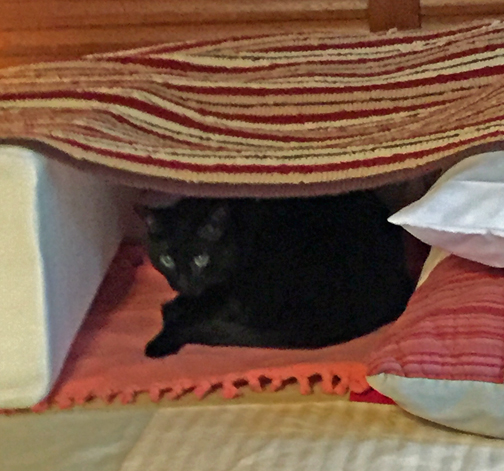 Yo Dad P! Would ya mind gettin' that photo done already??