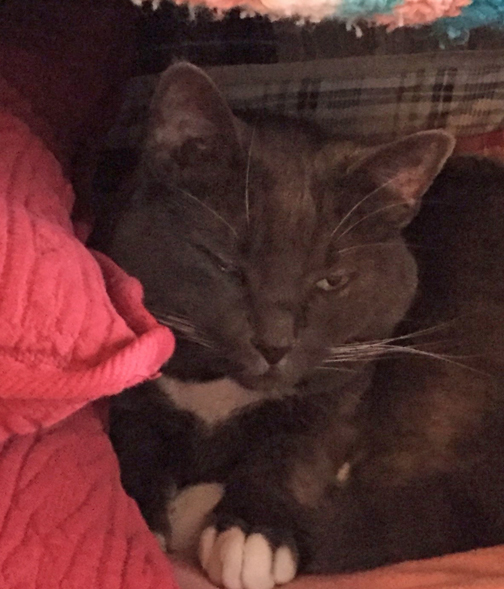 zzzzzzzzzzzzz_Mom L I have one eye on you!