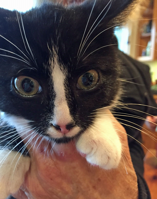 What? You don't have treats?? Why am I here??