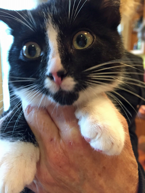 WAIT!! You're gonna do what???