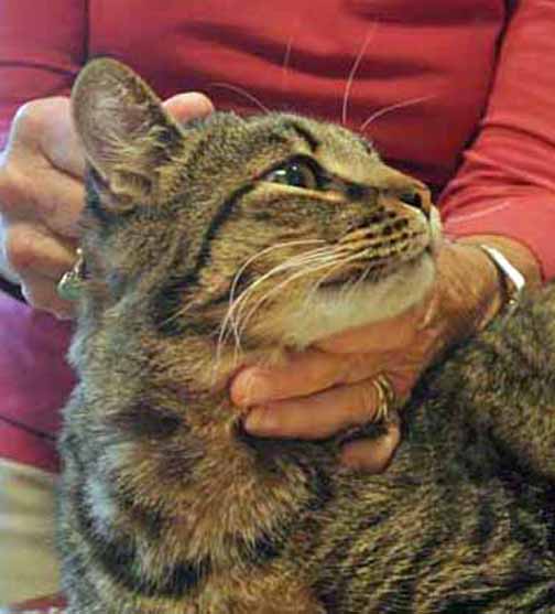 Hey, you're twistin' my neck!