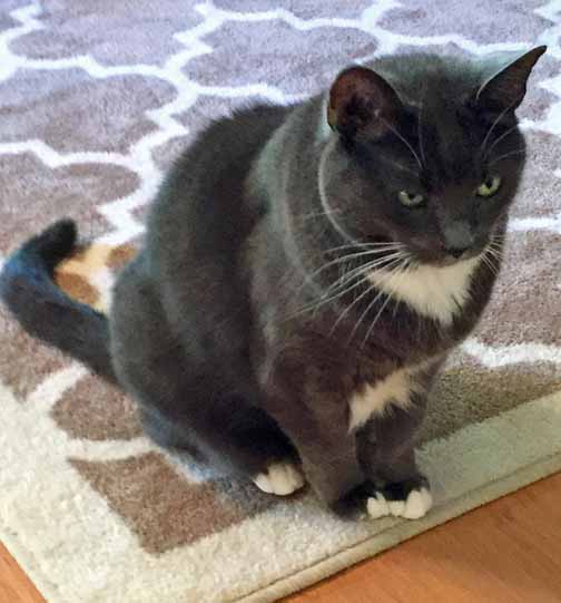 I am safe, cherished and feeling more and more confident