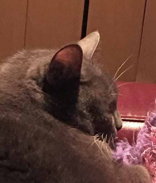 Nights on the couch with Mom