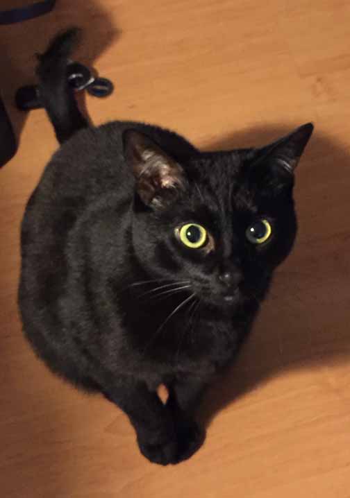 Hey guys? All our readers out there—do you think I know where those stoopid car keys are?