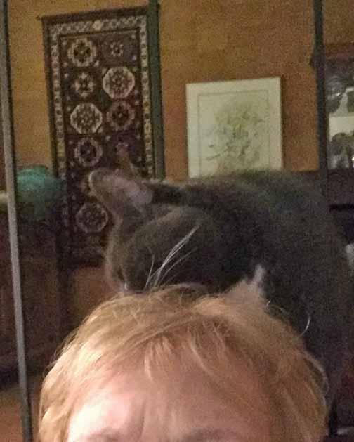 Ah, here is where her hair style needs help—chomp