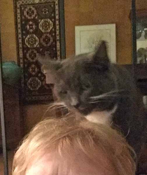 Let me give this some KS healing