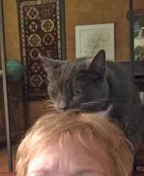 Snuffle, snort, tickle