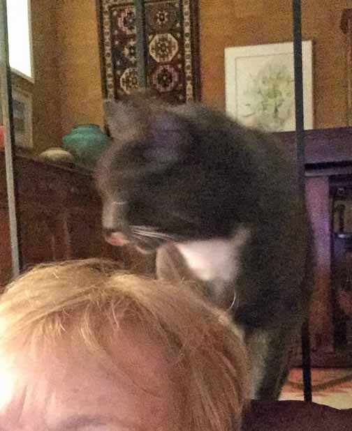 Well who knew her hair could also be tasty?