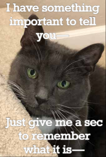 Meme Important Message Examples Important Memes